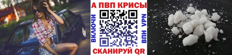 А ПВП крисы CK  Купить где  Жуков 