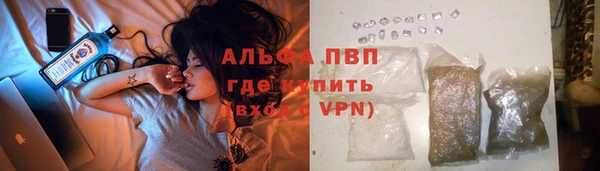 ГАЛЛЮЦИНОГЕННЫЕ ГРИБЫ Зеленодольск