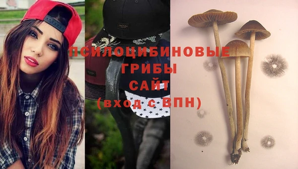 ГАЛЛЮЦИНОГЕННЫЕ ГРИБЫ Зеленодольск