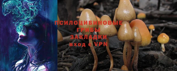 ешки Зеленокумск