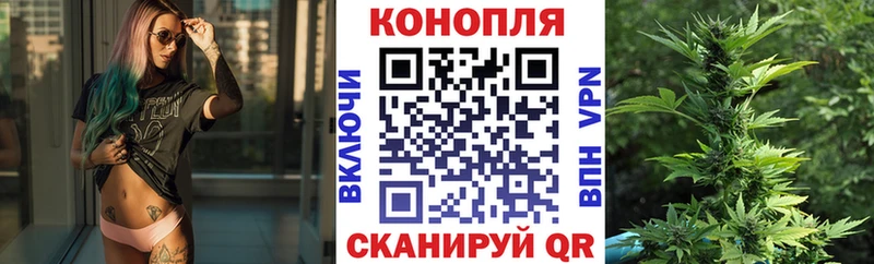 Купить закладки  Жуков  Каннабис марихуана 